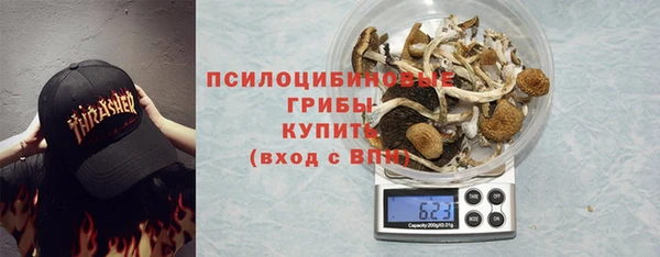 ГАЛЛЮЦИНОГЕННЫЕ ГРИБЫ Алзамай