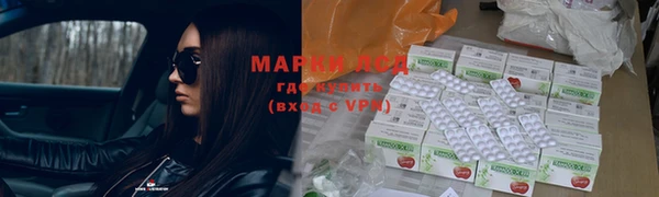 ГАЛЛЮЦИНОГЕННЫЕ ГРИБЫ Алзамай