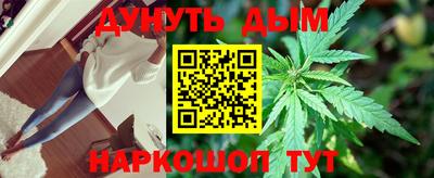 ешки Гатчина