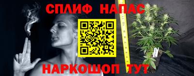 ешки Гатчина