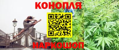 ешки Гатчина