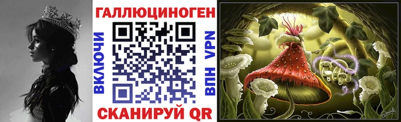 дарнет шоп Клин Галлюциногенные грибы ЛСД