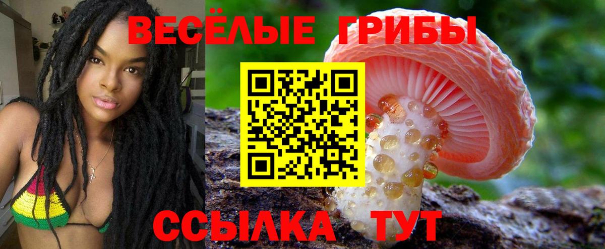 Псилоцибиновые грибы Magic Shrooms  Вход с VPN  Псилоцибиновые грибы Psilocybine cubensis  Клин 