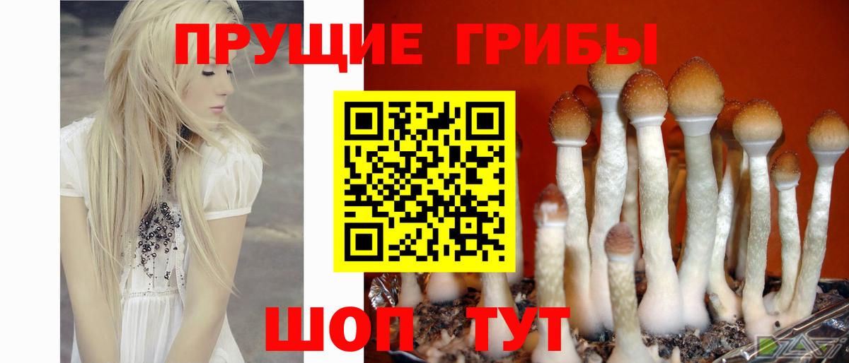 Галлюциногенные грибы ЛСД Клин
